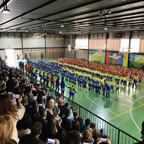 Colegio Santa Maria del Carmen 10